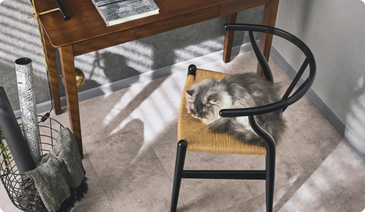 フロアに置かれた椅子の上でくつろぐ猫